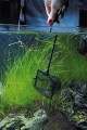 Aqua Nova SIATKA 15cm Podbierak Do Ryb Akwarium