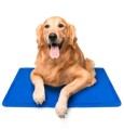 Mata Chłodząca Dla Psa Kota Legowisko Trixie 90x50cm XL