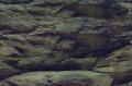 Aqua Nova Tło Dwustronne Do Akwarium Fototapeta Rock / Plants S 60x30cm
