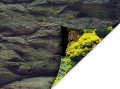 Aqua Nova Tło Dwustronne Do Akwarium Fototapeta Rock / Plants L 100x50cm
