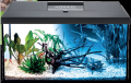 Zestaw Akwarium AQUAEL Leddy Set 60 60x30x30 54L LED D&N