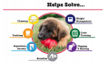 KONG Ciastka Snacks S Puppy Kurczak Dla Psa 200g