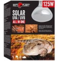 Repti PLANET Żarówka SOLAR GLO 160W Oświetlenie