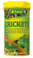 TROPICAL CRICKETS 250ml - Suszone Świerszcze Dla Gadów i Dużych Ryb Ozdobnych