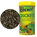 TROPICAL CRICKETS 250ml - Suszone Świerszcze