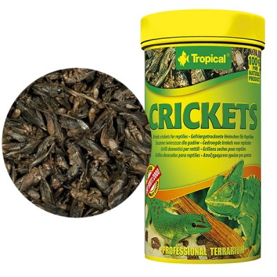 TROPICAL CRICKETS 250ml - Suszone Świerszcze