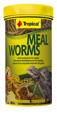 TROPICAL MEAL WORMS 250ml - Suszone Larwy Mącznika Młynarka Dla Gadów i Dużych Ryb Ozdobnych