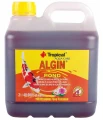 TROPICAL ALGIN POND 2l - preparat do zwalczania glonów zielonych w oczkach wodnych