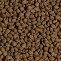 Tropical KOI WHEAT GERM&GARLIC PELLET SIZE L 7kg - pokarm podnoszący odporność karpi koi i innych ryb w oczkach wodnych