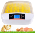 Inkubator Automatyczny Do 56 Jaj Z Owoskopem 220V Klujnik Wylęgarka