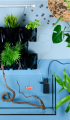 AQUAEL Moduł ścienny VERSA GARDEN PLUS Zestaw z pompą cyrkulacyjną i oświetleniem LED