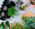 AQUAEL Moduł ścienny VERSA GARDEN PLUS Zestaw z pompą cyrkulacyjną i oświetleniem LED