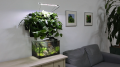 AQUAEL Moduł ścienny VERSA GARDEN PLUS Zestaw z pompą cyrkulacyjną i oświetleniem LED