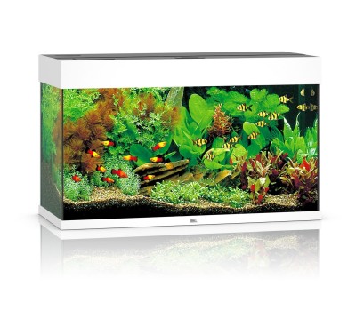Juwel Rio 125l 81x36x50cm Zestaw Akwarium Białe