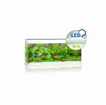 Juwel Rio 240l 121x41x55cm Zestaw Akwarium Białe