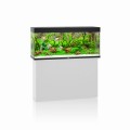 Juwel Rio 240l 121x41cm Zestaw z Szafką Czarny