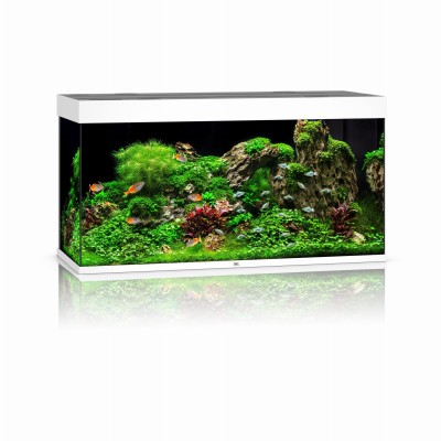 Juwel Rio 350l 121x51x66cm Zestaw Akwarium Białe
