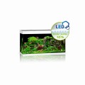 Juwel Rio 350l 121x51x66cm Zestaw Akwarium Białe