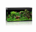 Juwel Rio 350l 121x51cm Zestaw z Szafką Czarny