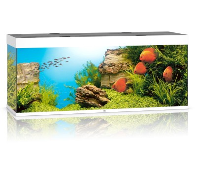 Juwel Rio 450l 151x51x66cm Zestaw Akwarium Białe