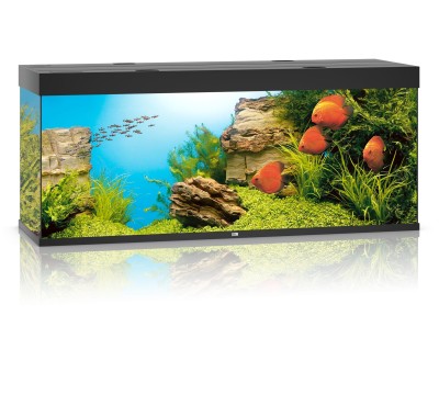 Juwel Rio 450l 151x51x66cm Zestaw Akwarium Czarne