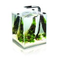 AQUAEL LEDDY SMART Day&Night Belka LED Czarna 4,8W