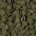 TROPICAL GREEN ALGAE WAFERS 5l Pokarm dla Glonojadów