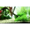 Pinceta Pęseta Prosta Hobby Tool 25cm