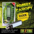 EXO TERRA Forest Canopy Żarówka 6500K 8W