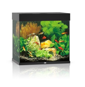Juwel Lido 120l 61x41cm Zestaw z Akwarium Czarny