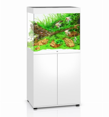 Juwel Lido 200l 71x51cm Zestaw z Szafką Biały