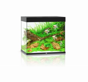 Juwel Lido 200l 71x51x65cm Zestaw z Akwarium Czarny