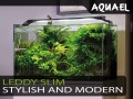 AQUAEL LEDDY Slim Marine 32W 10000K BELKA LED 80-100cm CZARNA