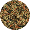 Tropical Reptiles Carnivore Pokarm Dla Mięsożernych i Wszystkożernych Gadów 250ml/65g