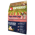 ONTARIO PUPPY&JUNIOR LARGE CHICKEN&POTATOES 2,25KG KURCZAK KARMA DLA SZCZENIĄT I MŁODYCH PSÓW