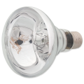 Repti PLANET Daylight Basking Żarówka Do Terrarium 150W