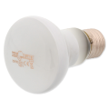 Repti PLANET Daylight Frosted Żarówka Do Terrarium 25W