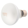 Repti PLANET Daylight Frosted Żarówka Do Terrarium 100W