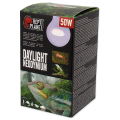 Repti PLANET Daylight Neodymium Żarówka Do Terrarium 50W