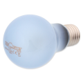 Repti PLANET Daylight Neodymium Żarówka Do Terrarium 50W