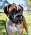 Baskerville Kaganiec Fizjologiczny Ultra Muzzle rozm. 5 Bokser
