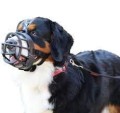 Baskerville Kaganiec Fizjologiczny Ultra Muzzle rozm. 6 Bulmastif