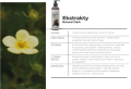 Comfy Natural Dark Szampon z Pompką Podkreśla Ciemny Kolor Sierści 250ml