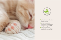 Comfy Natural Puppy Delikatny Szampon z Pompką dla Szczeniąt 250ml