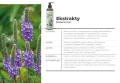 Comfy Natural Cat Delikatny Szampon z Pompką dla Kotów 250ml