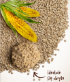Comfy Kukurydziany Żwirek Dla Kota Cornelius Natural 7l