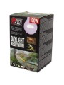 Repti PLANET Daylight Neodymium Żarówka Do Terrarium 100W