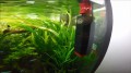 AQUA NOVA Skimmer Powierzchniowy Filtr NSK-200