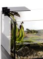 Aquael Aquaterrarium Terrarium Akwarium dla Zwierząt Wodno-Lądowych 60x30x20,5cm
