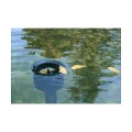 Sunsun CSP-40 Filtr powierzchniowy Skimmer Stojący do Oczka do 40m2